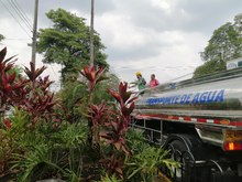 Avanza el mantenimiento de jardines en Cali