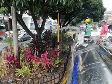 Avanza el mantenimiento de jardines en Cali