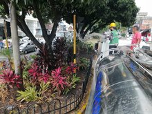 Avanza el mantenimiento de jardines en Cali