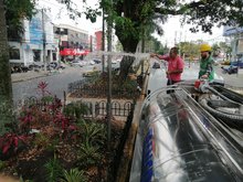 Avanza el mantenimiento de jardines en Cali