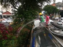 Avanza el mantenimiento de jardines en Cali