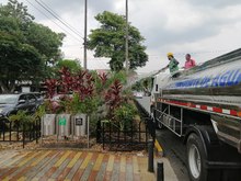 Avanza el mantenimiento de jardines en Cali