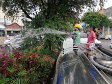 Avanza el mantenimiento de jardines en Cali