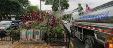 Avanza el mantenimiento de jardines en Cali