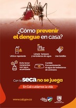 En temporada seca aumenta la proliferaci&oacute;n del zancudo Aedes aegypti