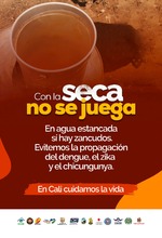 En temporada seca aumenta la proliferaci&oacute;n del zancudo Aedes aegypti