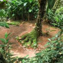 Bichacueth Yath, todo un santuario de arte y naturaleza en Cali