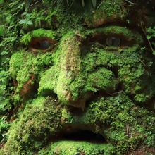 Bichacueth Yath, todo un santuario de arte y naturaleza en Cali