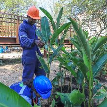 Avanza la renaturalizaci&oacute;n del &lsquo;Proyecto Integral Cristo Rey&rsquo;