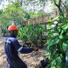 Avanza la renaturalizaci&oacute;n del &lsquo;Proyecto Integral Cristo Rey&rsquo;
