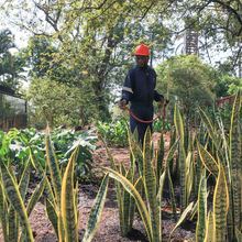 Avanza la renaturalizaci&oacute;n del &lsquo;Proyecto Integral Cristo Rey&rsquo;
