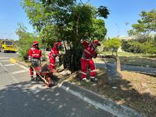 Habr&aacute; plan especial de limpieza en 49 corredores viales, hasta el 31 de diciembre