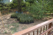 Tramo 2 del Proyecto Integral Cristo Rey Avanza hacia el Futuro