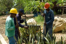 Tramo 2 del Proyecto Integral Cristo Rey Avanza hacia el Futuro