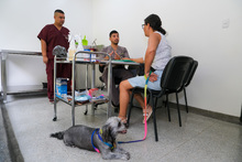 Futuros m&eacute;dicos veterinarios realizan pr&aacute;cticas profesionales en el Centro de Bienestar Animal de Cali