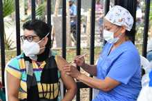 Control al dengue se hace puerta a puerta en la comuna 6