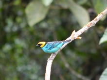 Descubre uno de los para&iacute;sos naturales en el corregimiento La Elvira
