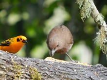 Descubre uno de los para&iacute;sos naturales en el corregimiento La Elvira
