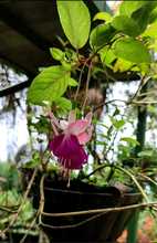 Descubre uno de los para&iacute;sos naturales en el corregimiento La Elvira