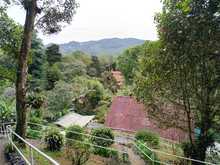 Descubre uno de los para&iacute;sos naturales en el corregimiento La Elvira