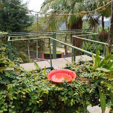 Descubre uno de los para&iacute;sos naturales en el corregimiento La Elvira