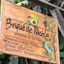 Descubre uno de los para&iacute;sos naturales en el corregimiento La Elvira