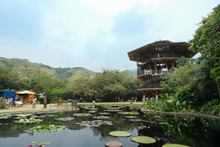 Jard&iacute;n Bot&aacute;nico de Cali, un nuevo atractivo natural en la &lsquo;sucursal del cielo&rsquo; 