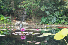 Jard&iacute;n Bot&aacute;nico de Cali, un nuevo atractivo natural en la &lsquo;sucursal del cielo&rsquo; 