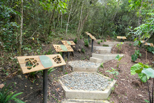 Jard&iacute;n Bot&aacute;nico de Cali, un nuevo atractivo natural en la &lsquo;sucursal del cielo&rsquo; 
