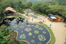 Jard&iacute;n Bot&aacute;nico de Cali, un nuevo atractivo natural en la &lsquo;sucursal del cielo&rsquo; 