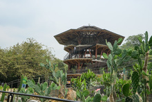 Jard&iacute;n Bot&aacute;nico de Cali, un nuevo atractivo natural en la &lsquo;sucursal del cielo&rsquo; 