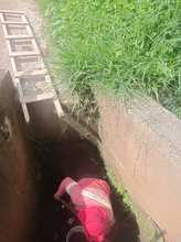 Realizan mantenimiento rutinario de v&iacute;as rurales en Cali