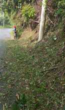 Realizan mantenimiento rutinario de v&iacute;as rurales en Cali