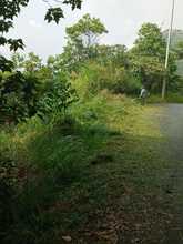 Realizan mantenimiento rutinario de v&iacute;as rurales en Cali