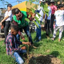 &lsquo;Dagma al Barrio&rsquo; llega el s&aacute;bado a la comuna 15