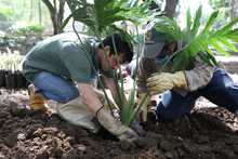 &lsquo;Dagma al Barrio&rsquo; llega el s&aacute;bado a la comuna 15