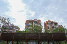 Avanza la conformaci&oacute;n de los senderos de Cristo Rey 