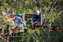 Avanza la conformaci&oacute;n de los senderos de Cristo Rey 