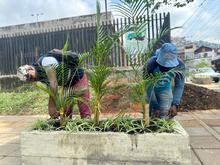 En la Comuna 20, la Alcald&iacute;a recuper&oacute; punto impactado por residuos