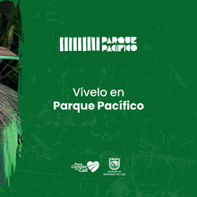 8 datos que debes saber del Pac&iacute;fico