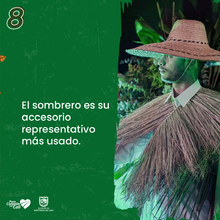 8 datos que debes saber del Pac&iacute;fico