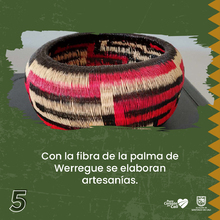 8 datos que debes saber del Pac&iacute;fico