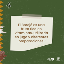8 datos que debes saber del Pac&iacute;fico