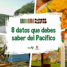 8 datos que debes saber del Pac&iacute;fico