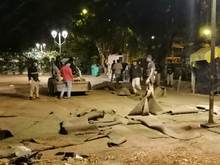 Avanza recuperaci&oacute;n de zonas blandas en Parque de El Ingenio