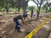 Avanza recuperaci&oacute;n de zonas blandas en Parque de El Ingenio