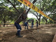 Avanza recuperaci&oacute;n de zonas blandas en Parque de El Ingenio