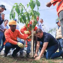 A Cali, buena sombra la cobija