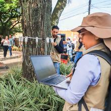 A Cali, buena sombra la cobija
