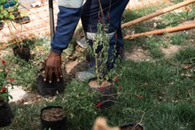 Si el Bulevar respira bien, la comunidad respira mejor